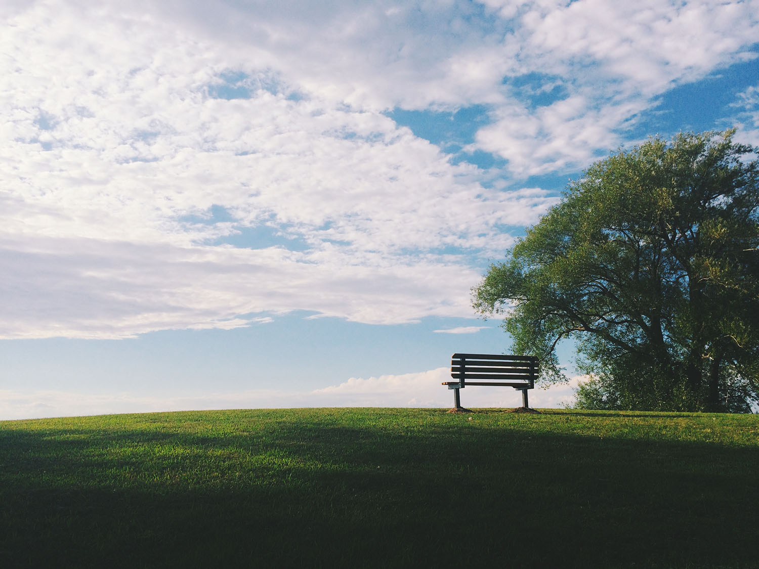 Angelic photo of a skyline and an empty bench