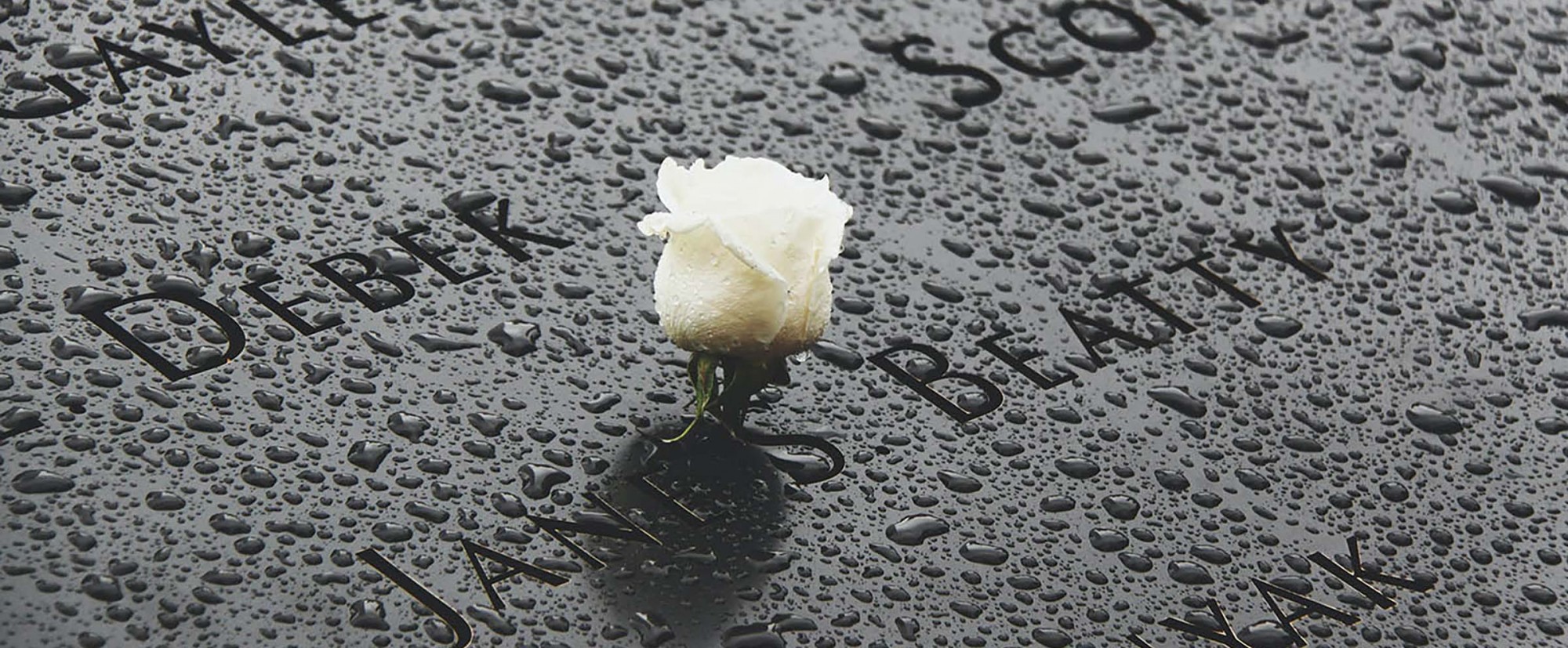 Flower on Memorial