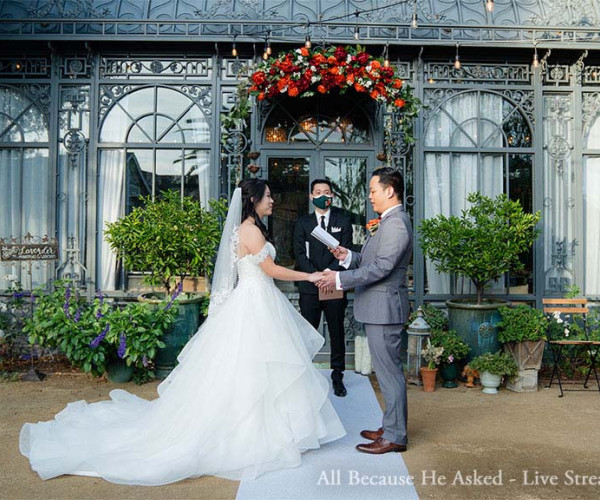 Wedding Live Stream